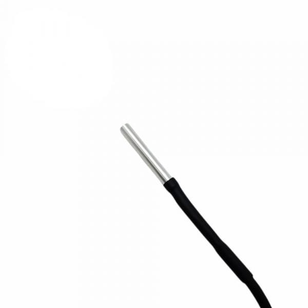 micro endoscope